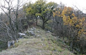 Erdei túra a Panoráma Tanösvényen