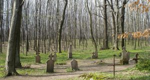 Ismeri a Vértes látnivalóit? – Körtvélyesi erdei temető