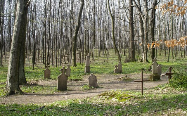 Ismeri a Vértes látnivalóit? – Körtvélyesi erdei temető