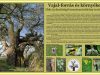 A Vértes természetvédelmi területei: Vajal-forrás és környéke