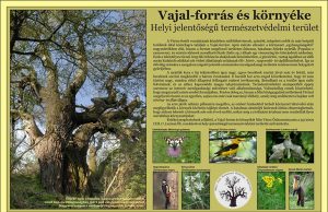 A Vértes természetvédelmi területei: Vajal-forrás és környéke