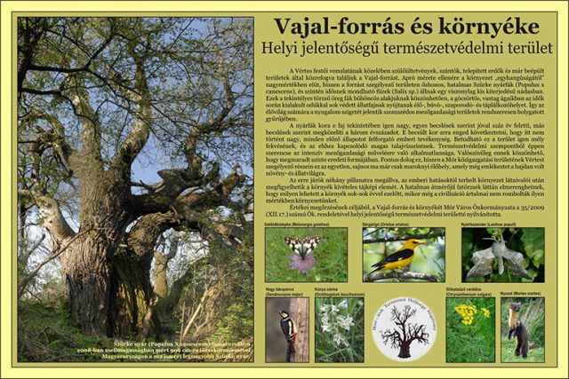 A Vértes természetvédelmi területei: Vajal-forrás és környéke