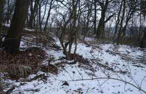 Hallott már erről a vármaradványról?