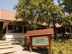 A Vértes környékének kirándulóhelyei, látnivalói: Pákozd-Sukorói Arborétum