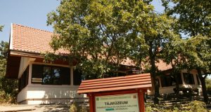 A Vértes környékének kirándulóhelyei, látnivalói: Pákozd-Sukorói Arborétum