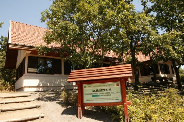 A Vértes környékének kirándulóhelyei, látnivalói: Pákozd-Sukorói Arborétum