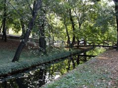 Sokak kedvelt kirándulóhelye: Tatai Angolpark