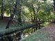 Sokak kedvelt kirándulóhelye: Tatai Angolpark
