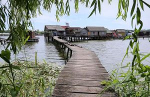 Ismeri környékünket? Bokod, ahol Magyarországon először termesztettek burgonyát