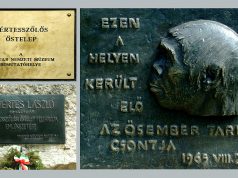 „Hírességek” környékünkön: Samu, az előember