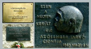 „Hírességek” környékünkön: Samu, az előember