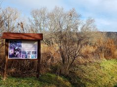 Kirándulj a környéken: Móri Parkerdő