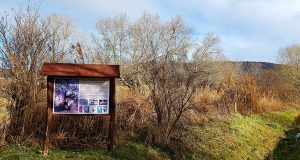 Kirándulj a környéken: Móri Parkerdő