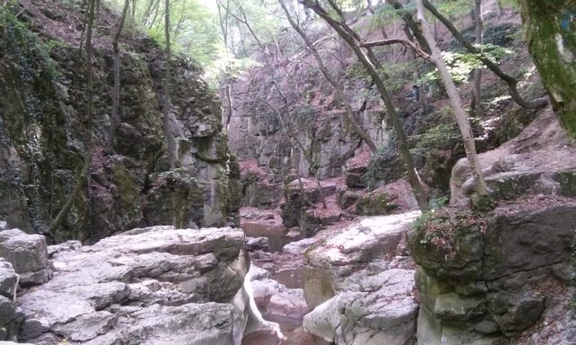 96 km csodaszép helyeken: Gaja-patak a Bakonytól a Móri-árokon át Fehérvárig