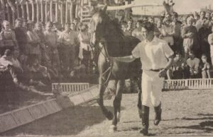 “A kistérség legszebb lovai” – Egy írás 2001-ből