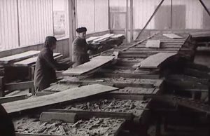 Erdő mellett… Gépesített fakitermelés és feldolgozás a Pusztavámi Fűrésztelepen – Kisfilm