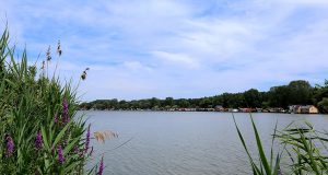 Bokodi-tó anno… – “Ez idő szerint az országban ez a legnagyobb dombvidéki völgyzárógátas tározó”
