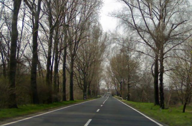 Árokba borult egy autó a 81-es főúton