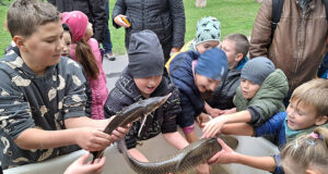 A halak világába kalauzolt a KEMHESZ Tatán