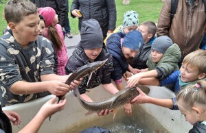 A halak világába kalauzolt a KEMHESZ Tatán