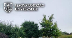 Veszélyes hulladékot halmozott fel az ingatlanán egy férfi