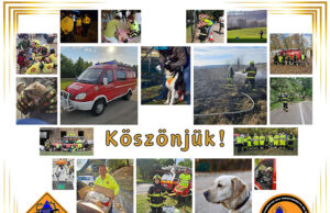Tatabányai egyesület kapta az idei Önként Jöttem díjat