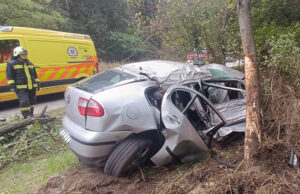 Fának csapódott