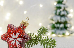 Adventi Nyitott Farm az EngiLand Farmon