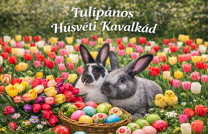 Tulipános Húsvéti Kavalkád az EngiLand Farmon – ELMARAD!