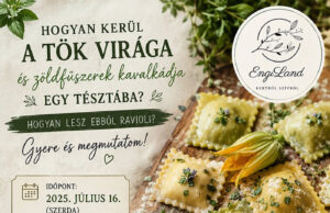 Színes Tészta Workshop az EngiLand Farmon
