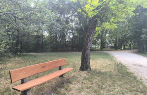Folyamatosan újul meg a Csákvári Arborétum
